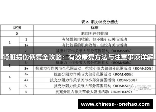 肾脏损伤恢复全攻略：有效康复方法与注意事项详解