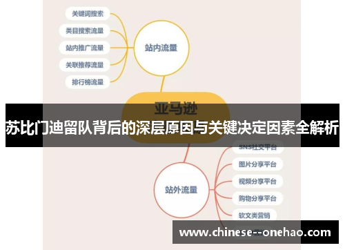 苏比门迪留队背后的深层原因与关键决定因素全解析 苏比门迪留队背后的深层原因与关键决定因素全解析