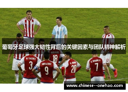 葡萄牙足球强大韧性背后的关键因素与团队精神解析