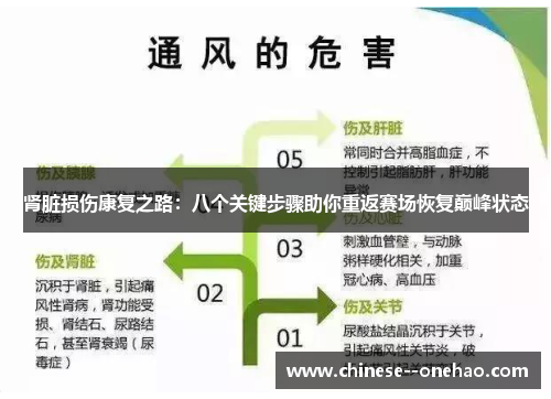肾脏损伤康复之路:八个关键步骤助你重返赛场恢复巅峰状态 肾脏损伤康复之路:八个关键步骤助你重返赛场恢复巅峰状态