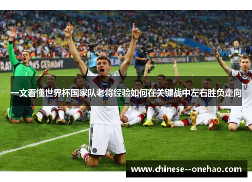 一文看懂世界杯国家队老将经验如何在关键战中左右胜负走向 一文看懂世界杯国家队老将经验如何在关键战中左右胜负走向