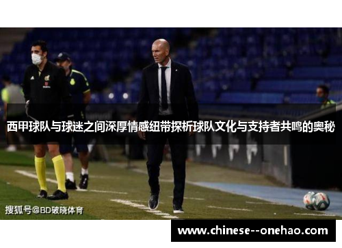 西甲球队与球迷之间深厚情感纽带探析球队文化与支持者共鸣的奥秘