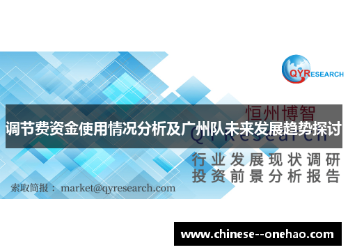 调节费资金使用情况分析及广州队未来发展趋势探讨