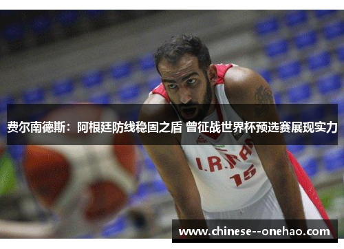 费尔南德斯:阿根廷防线稳固之盾 曾征战世界杯预选赛展现实力 费尔南德斯:阿根廷防线稳固之盾 曾征战世界杯预选赛展现实力