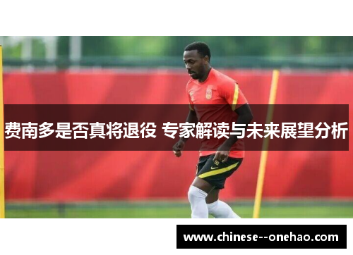 费南多是否真将退役 专家解读与未来展望分析