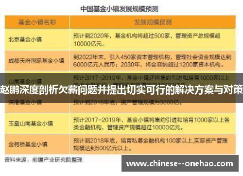 赵鹏深度剖析欠薪问题并提出切实可行的解决方案与对策