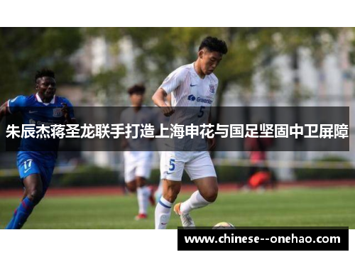朱辰杰蒋圣龙联手打造上海申花与国足坚固中卫屏障