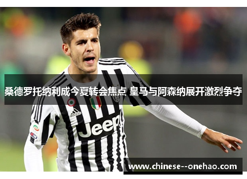 桑德罗托纳利成今夏转会焦点 皇马与阿森纳展开激烈争夺