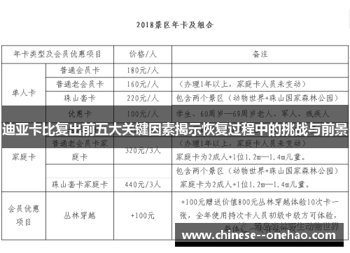 迪亚卡比复出前五大关键因素揭示恢复过程中的挑战与前景