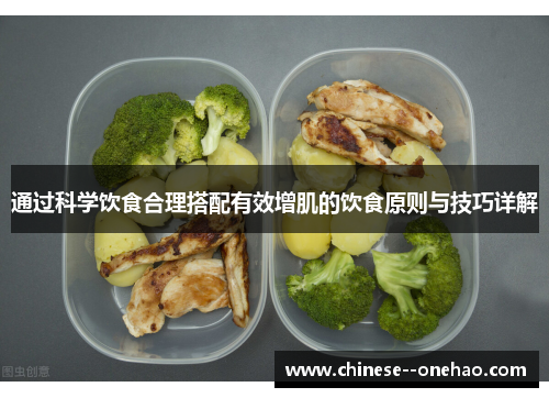 通过科学饮食合理搭配有效增肌的饮食原则与技巧详解