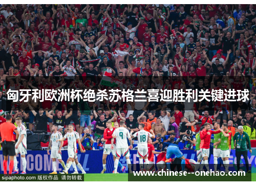 匈牙利欧洲杯绝杀苏格兰喜迎胜利关键进球