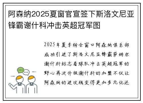 阿森纳2025夏窗官宣签下斯洛文尼亚锋霸谢什科冲击英超冠军图